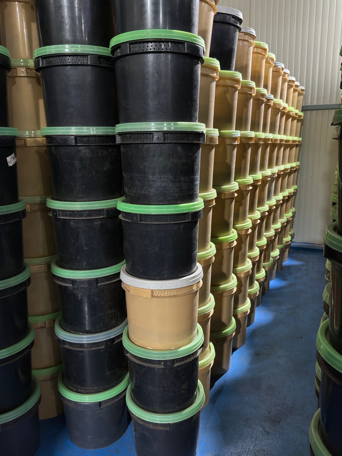 Stacked export-ready Worm Humus packaging