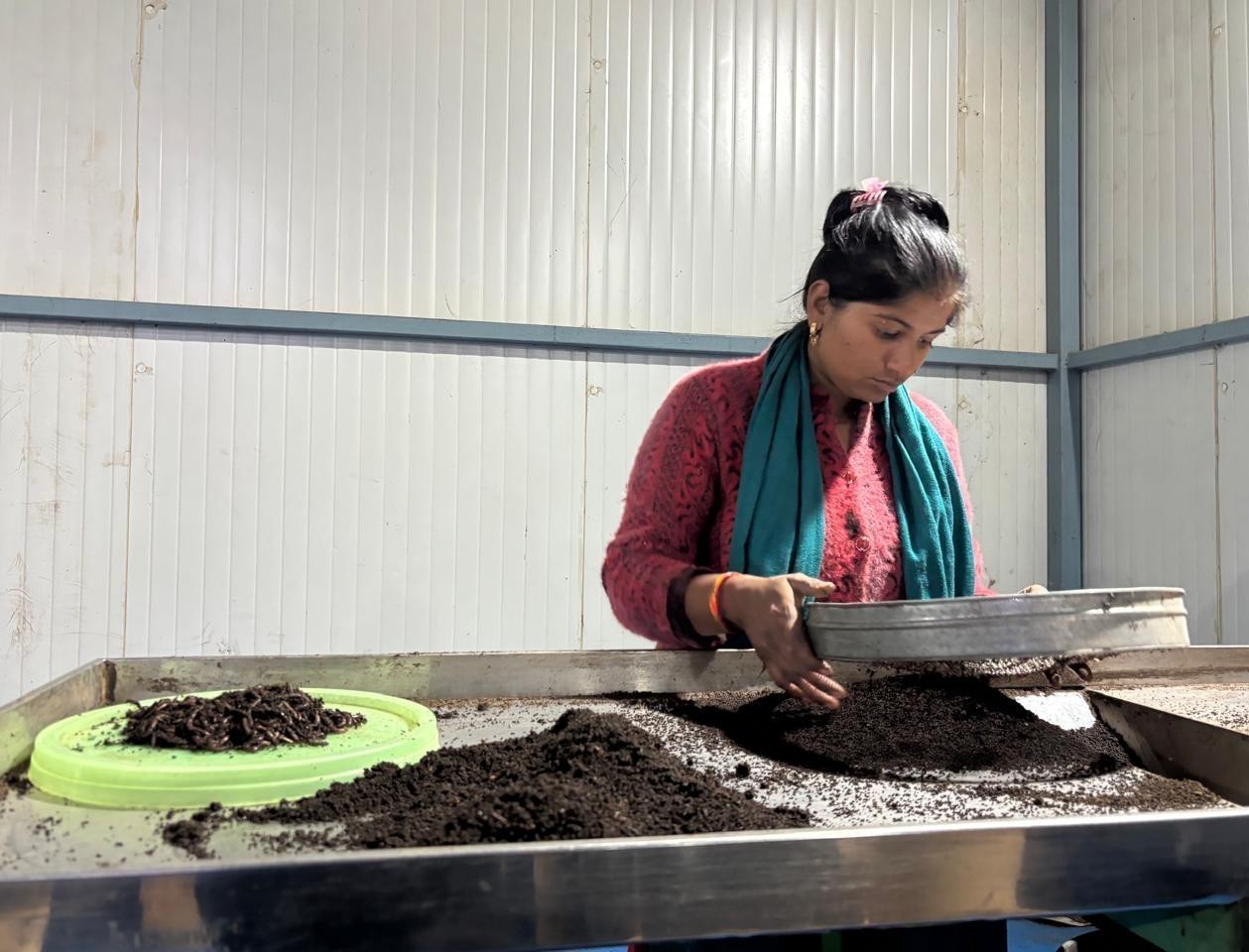 Team member screening Worm Humus in the production facility